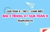 Giải bài 1 trang 47 Toán 8 Tập 1 SGK Cánh Diều